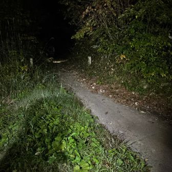 ヘッデンスタート💡
最初は林道