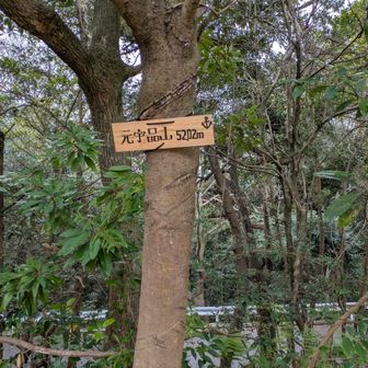 はいとうちゃく