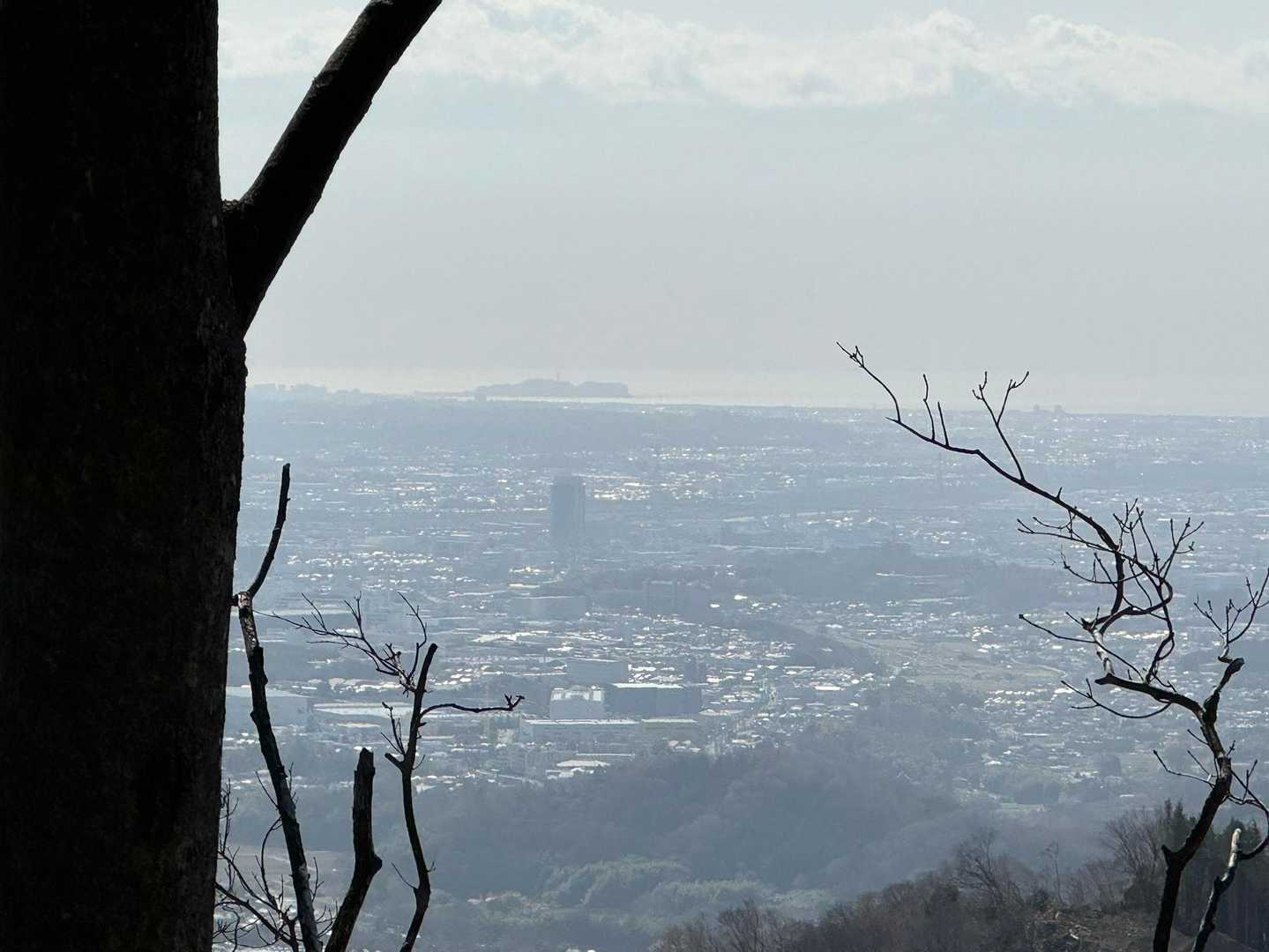 江ノ島が見えます