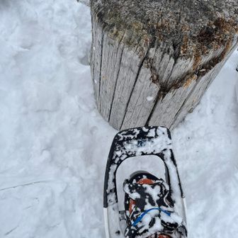 今日の相棒スノーシュー！なんと無料レンタル😳