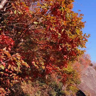 衝原湖につけられたサイクリング道を写真を撮りながら、ぶらぶら散歩気分😙