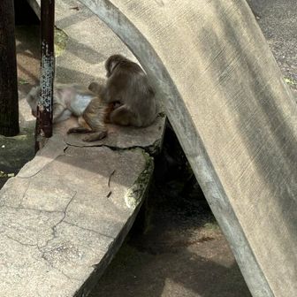 打吹公園へ。