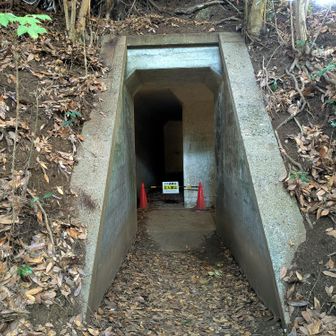 大房岬は大戦中の要塞跡もあります