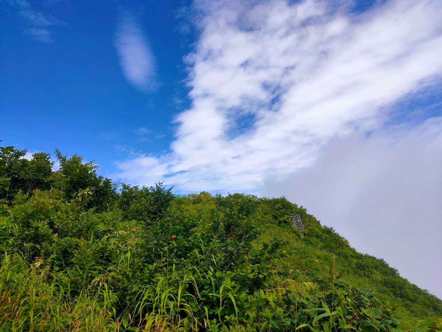 頭の上は青空。暑い