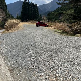 今日は2台だけでした