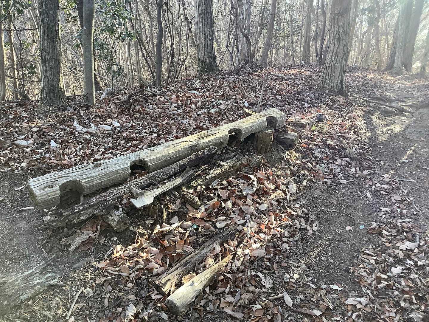 登山道沿いにあるベンチ？