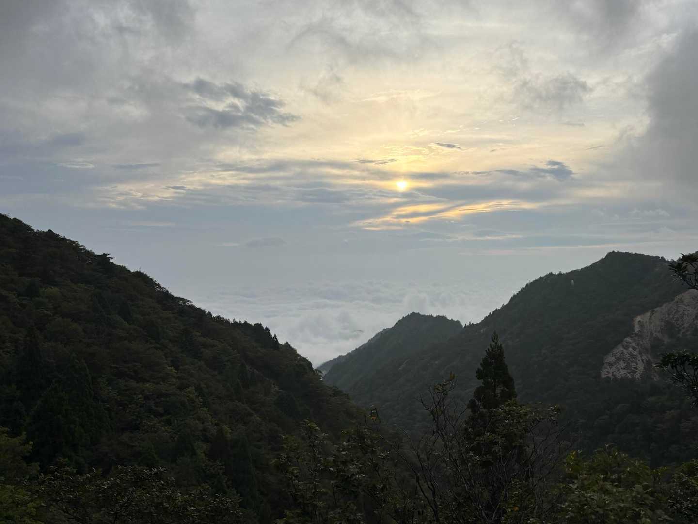 東側の方が少し天気は良い。画像ではわかりにくいですが大雲海！菰野の街は霧に沈んでいます。