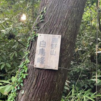 山頂標識も。