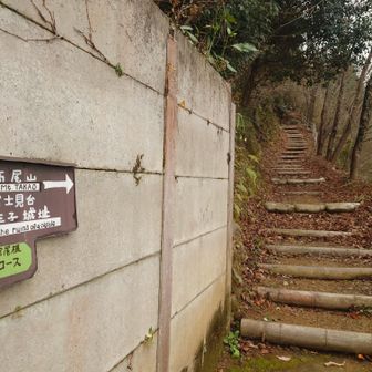 心源院登山口へ下山しました