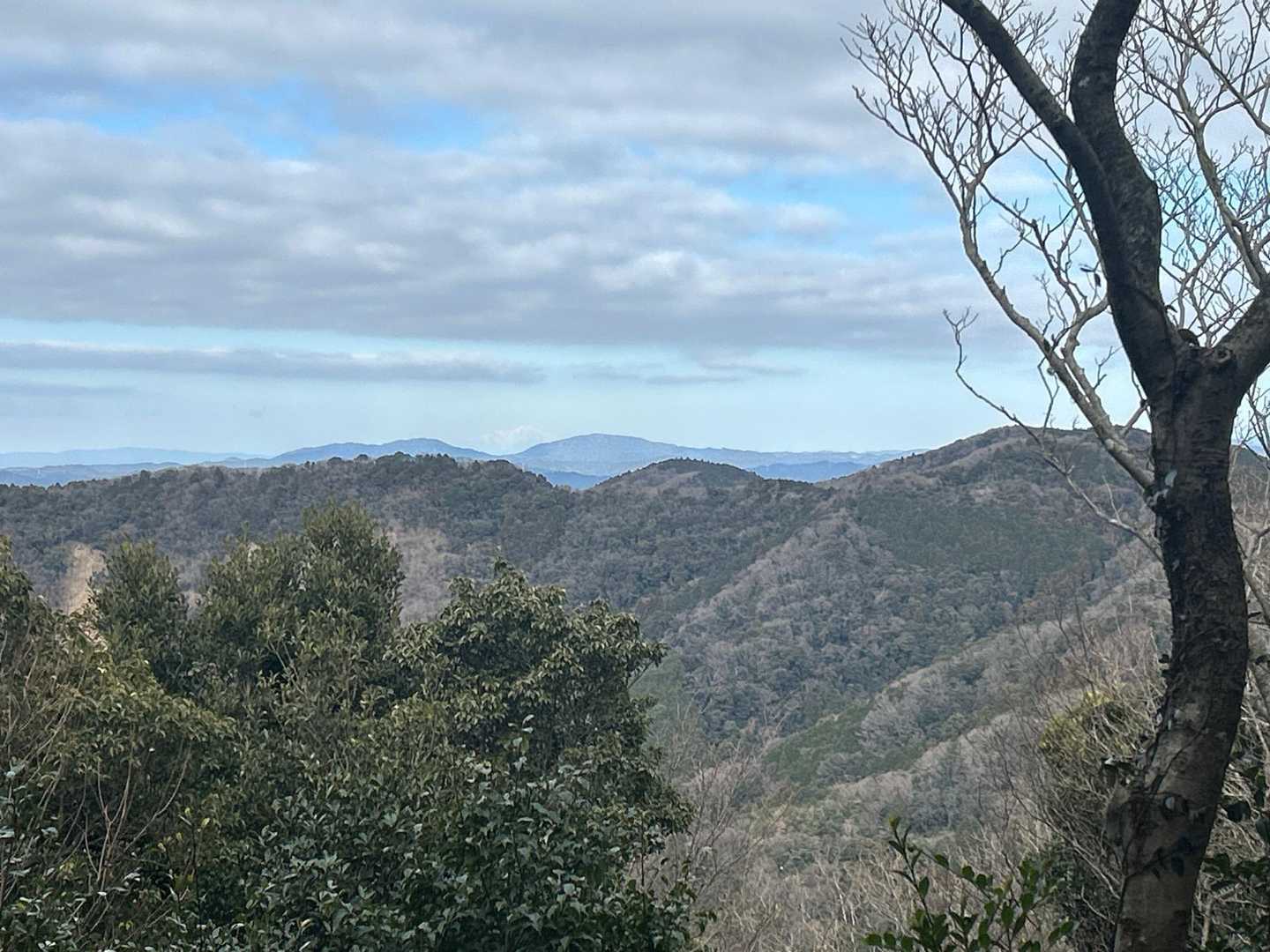 五井山 往復コースの写真