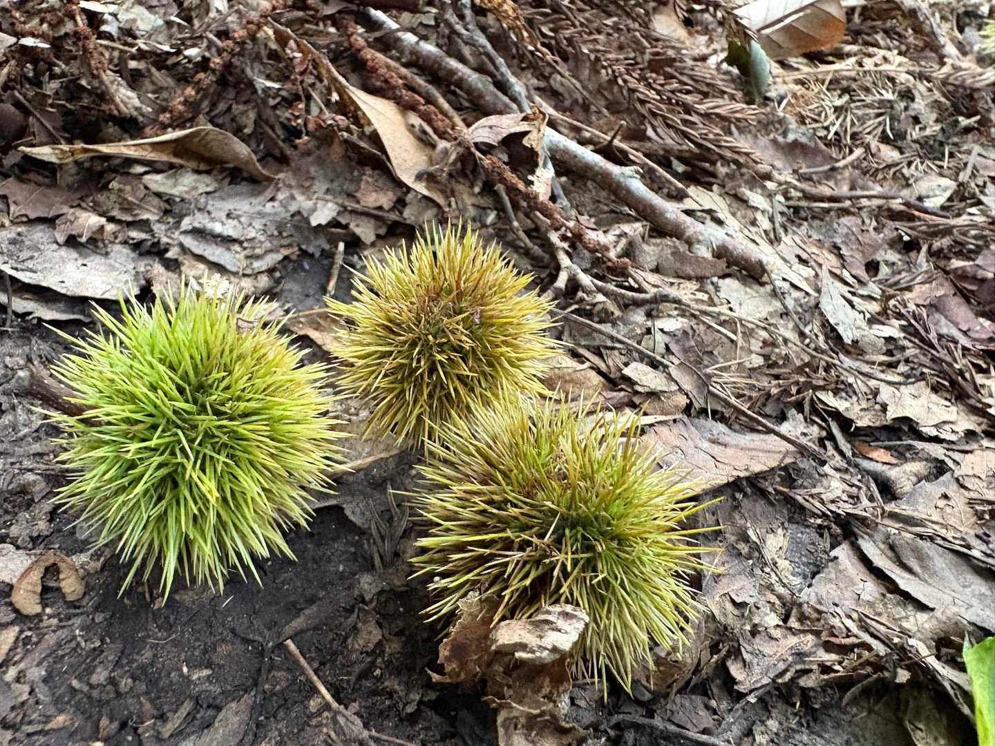 秋🍂
早くきてくれ〜😂