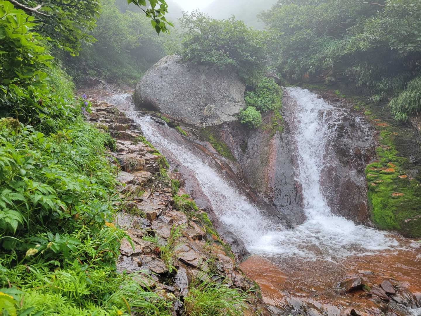 七重の滝 🐟