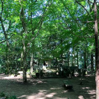 雷神社上宮に着きました
この場所に来たのは10年ぶりくらいか