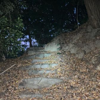 ヘッデン持ってて正解🙆‍♂️ないとムリ🙅‍♂️