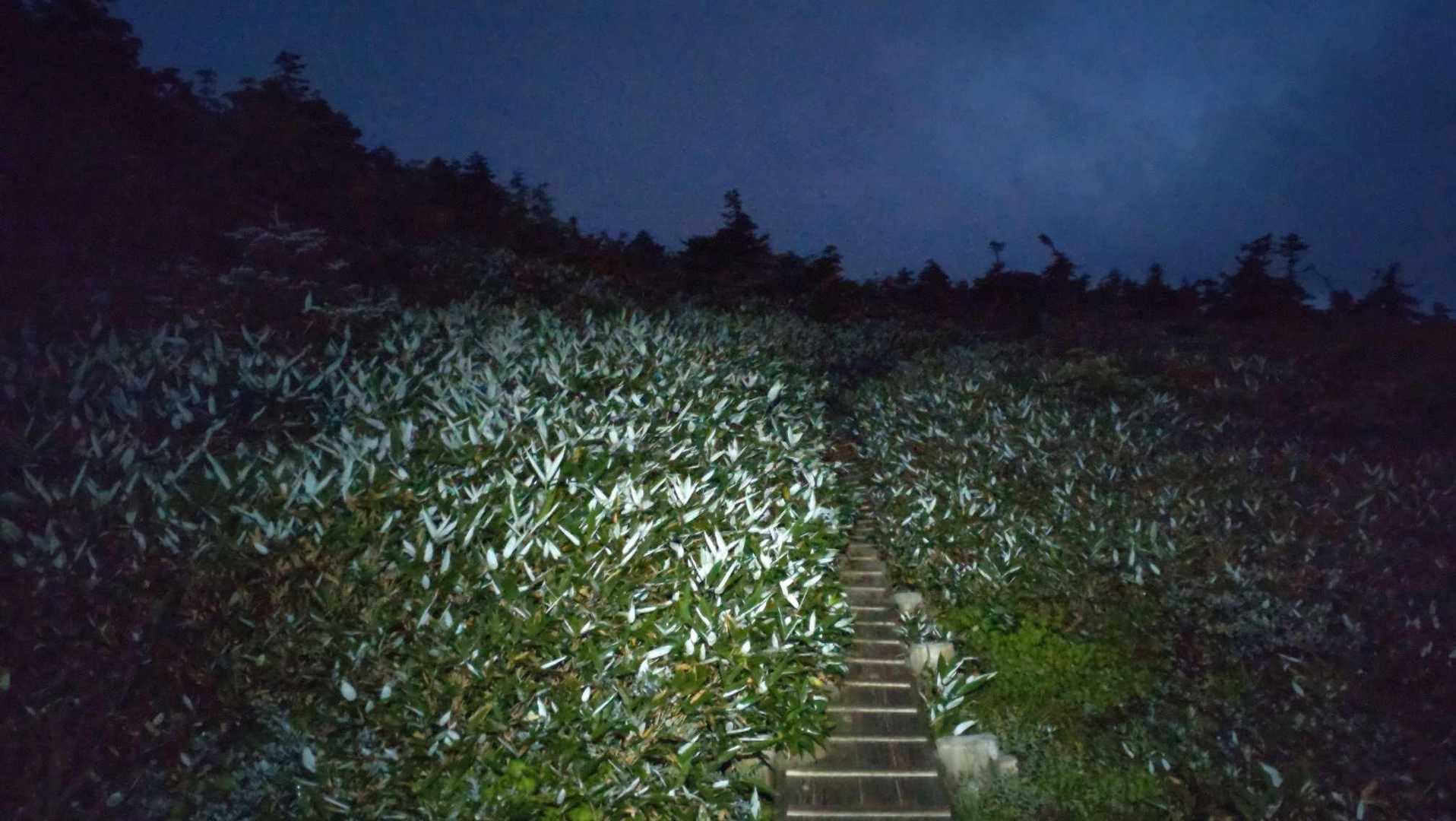 市ノ瀬バス停-猿壁登山口-猿壁登山口-別山-油坂ノ頭-別当 縦走コースの写真