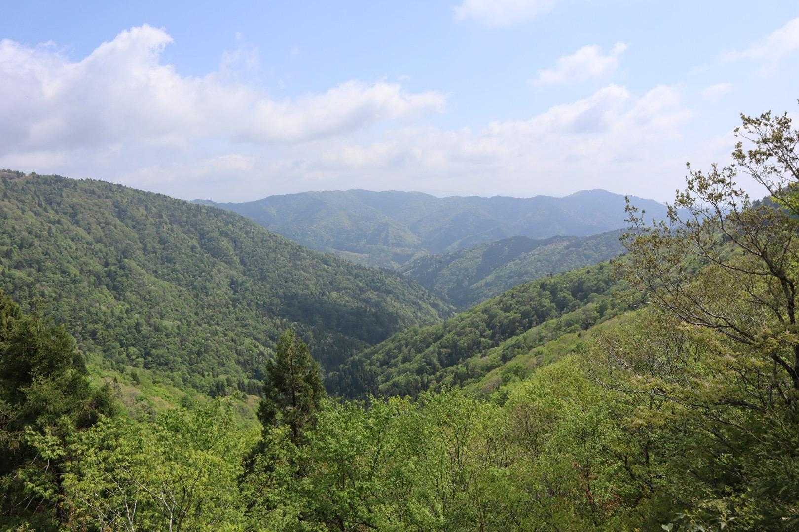 シチグレ峠-百里ヶ岳-根来坂峠 周回コースの写真