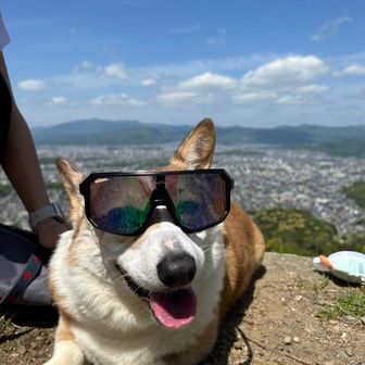 げんさん