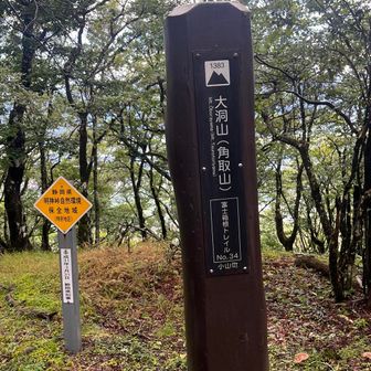 大洞山に到着角取山ともいうらしい

展望全く無し