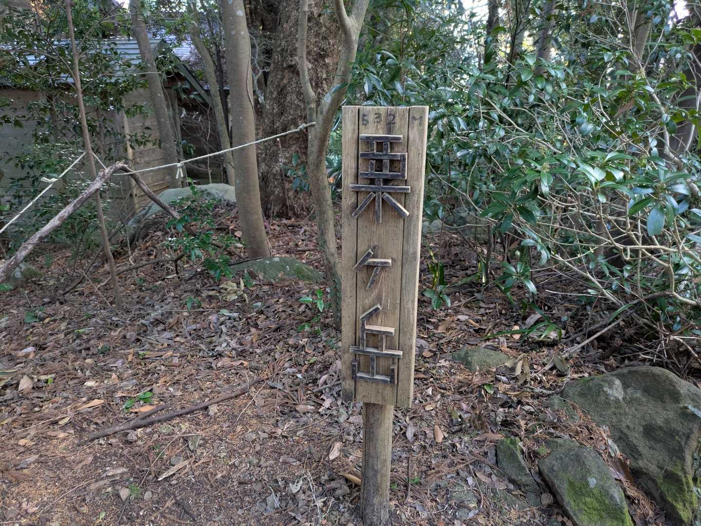 山頂手前で常連のりゅうやくんとお友達
昨日も今日も来るなんて、ほんと常連だな〜👏