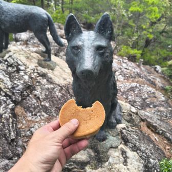 食うか？