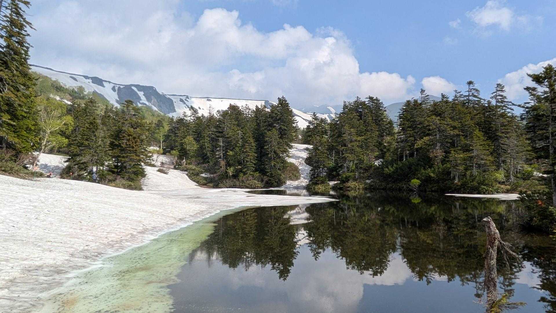 緑沼
