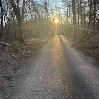 山犬段休憩舎に戻ります♪ おつかれ山でした〜