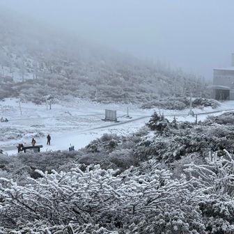 そんなに人は多くない