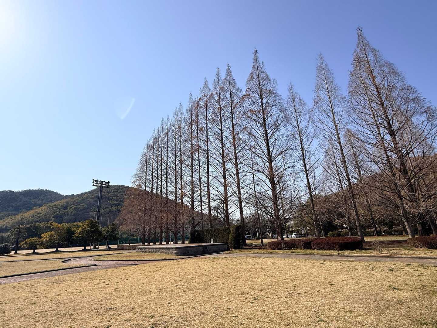 上道公園からスタート