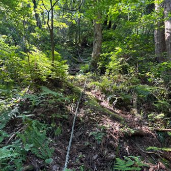 ぐいぐい登ります