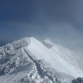 来たよ、来たよーっ！