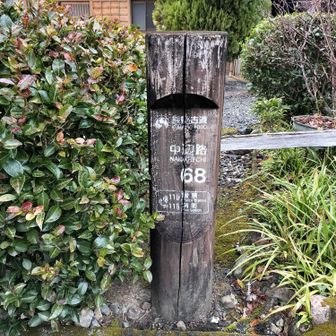 熊野古道 小辺路 集落の中もオリエンテーリング