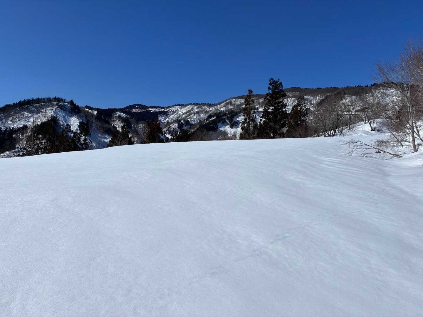 西山 周回コースの写真