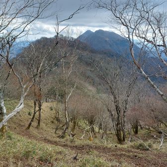 大光まで戻ってきて十枚山を振り返る