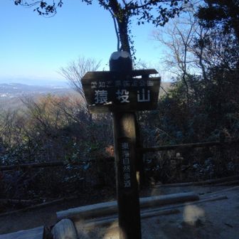 猿投山、登頂！