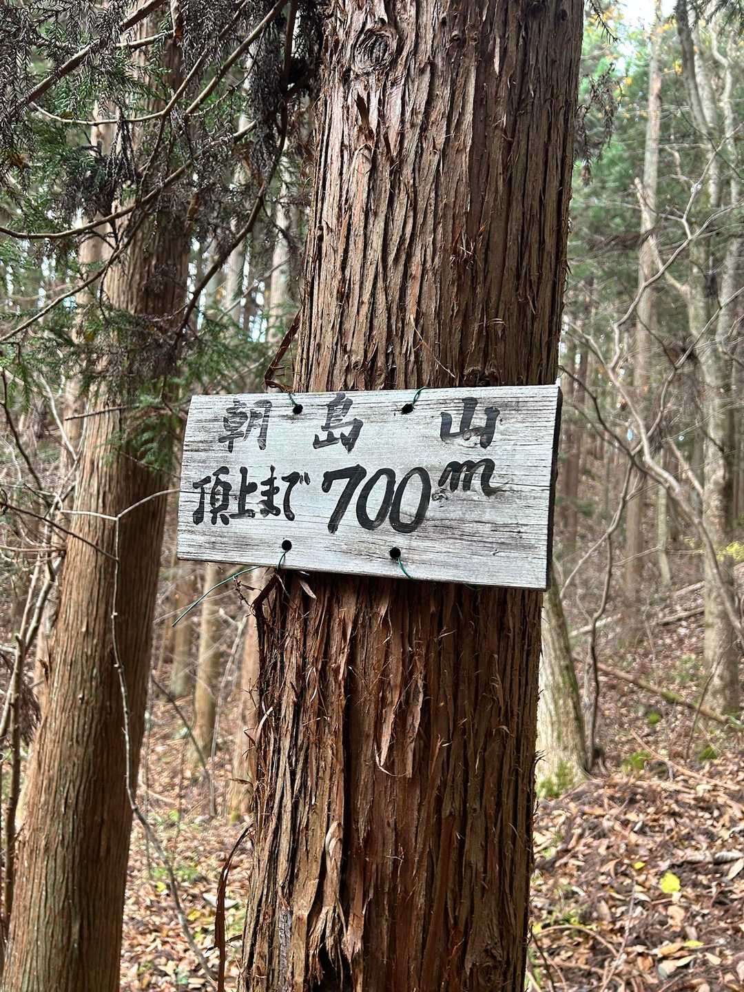 700mが長いんだよ