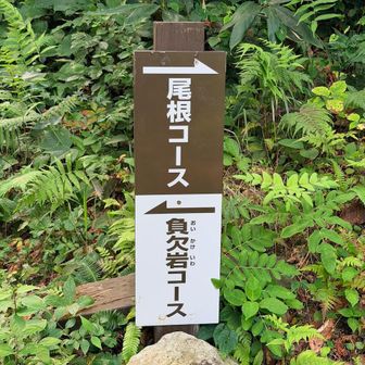 負欠岩（おいかけいわ）コースへ。