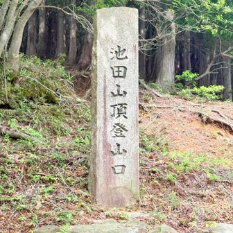 登山口まで遠かったな…💧