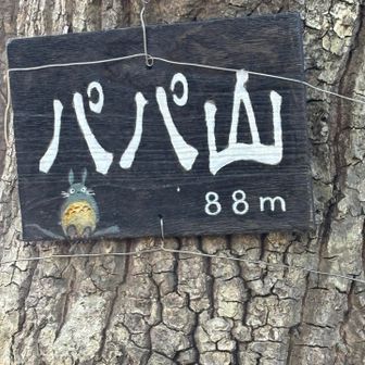 最初のお山  パパ山