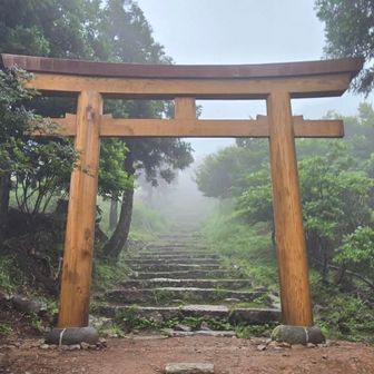 木の鳥居