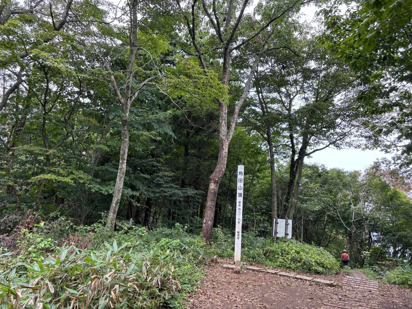 なんとか登頂。