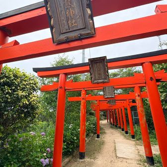 撮り方でだいぶ変わります。
写真、ちゃんと勉強しに行きたいかも。
なかなか上手く撮れないなー。
