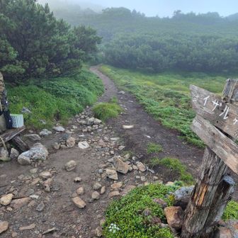 昨日登らなかったイザルガ岳へ…