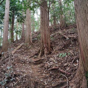 九十九折りの登山道を登ります。