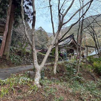 大矢田神社に無事下山　お参りしてから帰りました