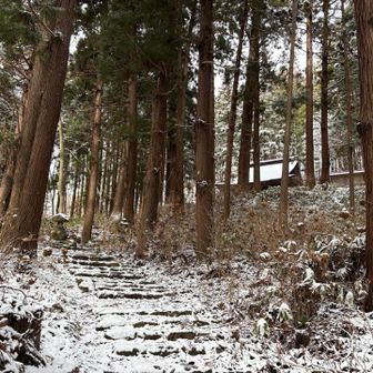 雪降ったので歩きにくいですね