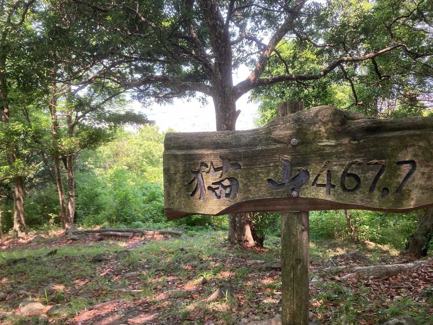 猫山467mに到着