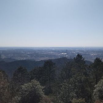 山頂からの眺望