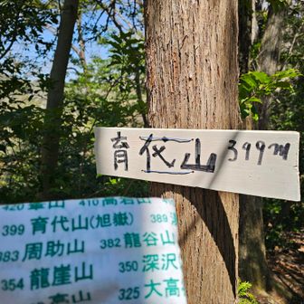 育代山　（飯百　100座目）

やったー！ついに100きたー！