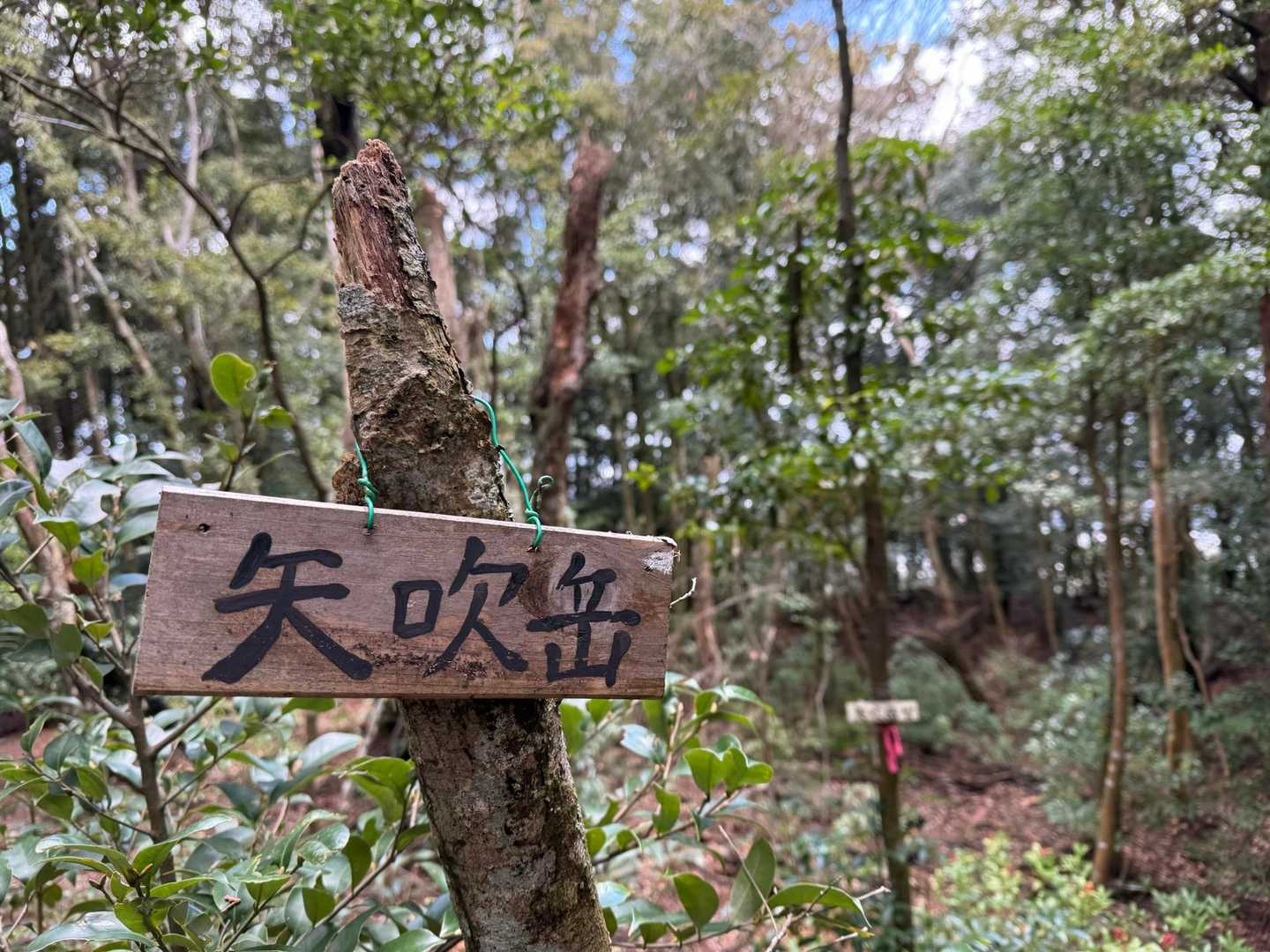 それでも何とか到着した矢吹岳
立つんだ！立つんだ！！なつこ
「明日のジョー」の丹下段平の真似だよ「古い！」