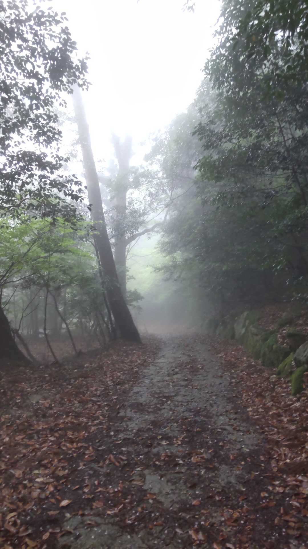 千と千尋の神隠しの世界に、行きそう〜